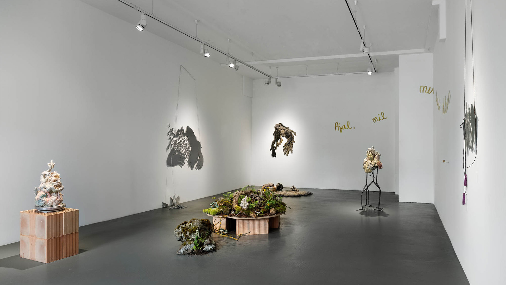 Tuumik_Eike-Eplik_Kogo-galerii_näitusefoto