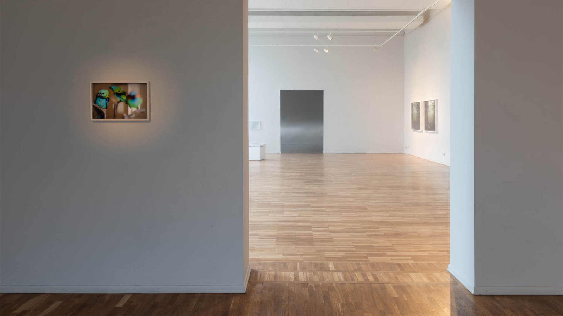 Tuumik_Krista-Mölder_Sinilind-Teisele-minale_Tartu-Kunstimaja