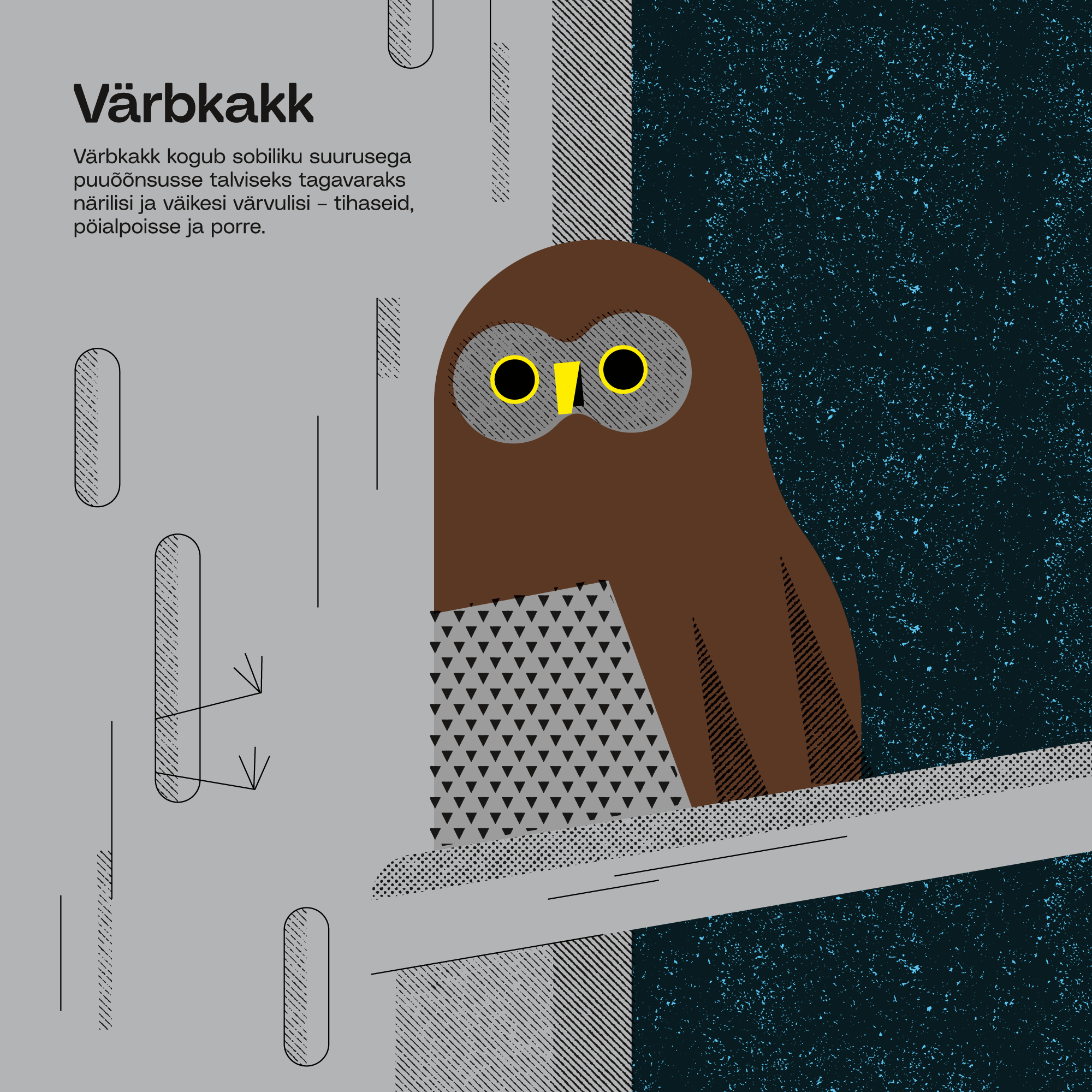 01_EVK_Martin-Eelma_Tuumik_Jaanuar