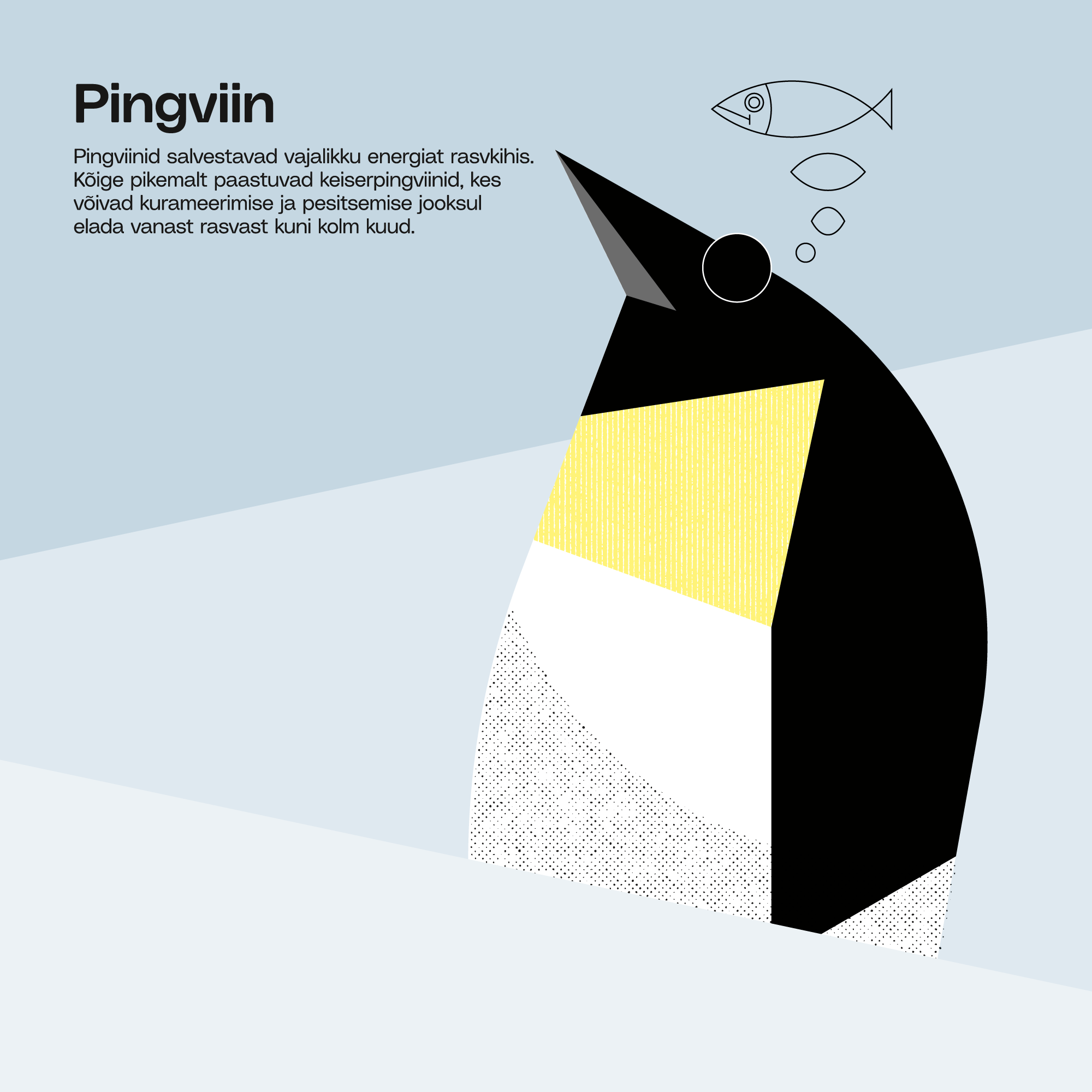 02_EVK_Martin-Eelma_Tuumik_Veebruar