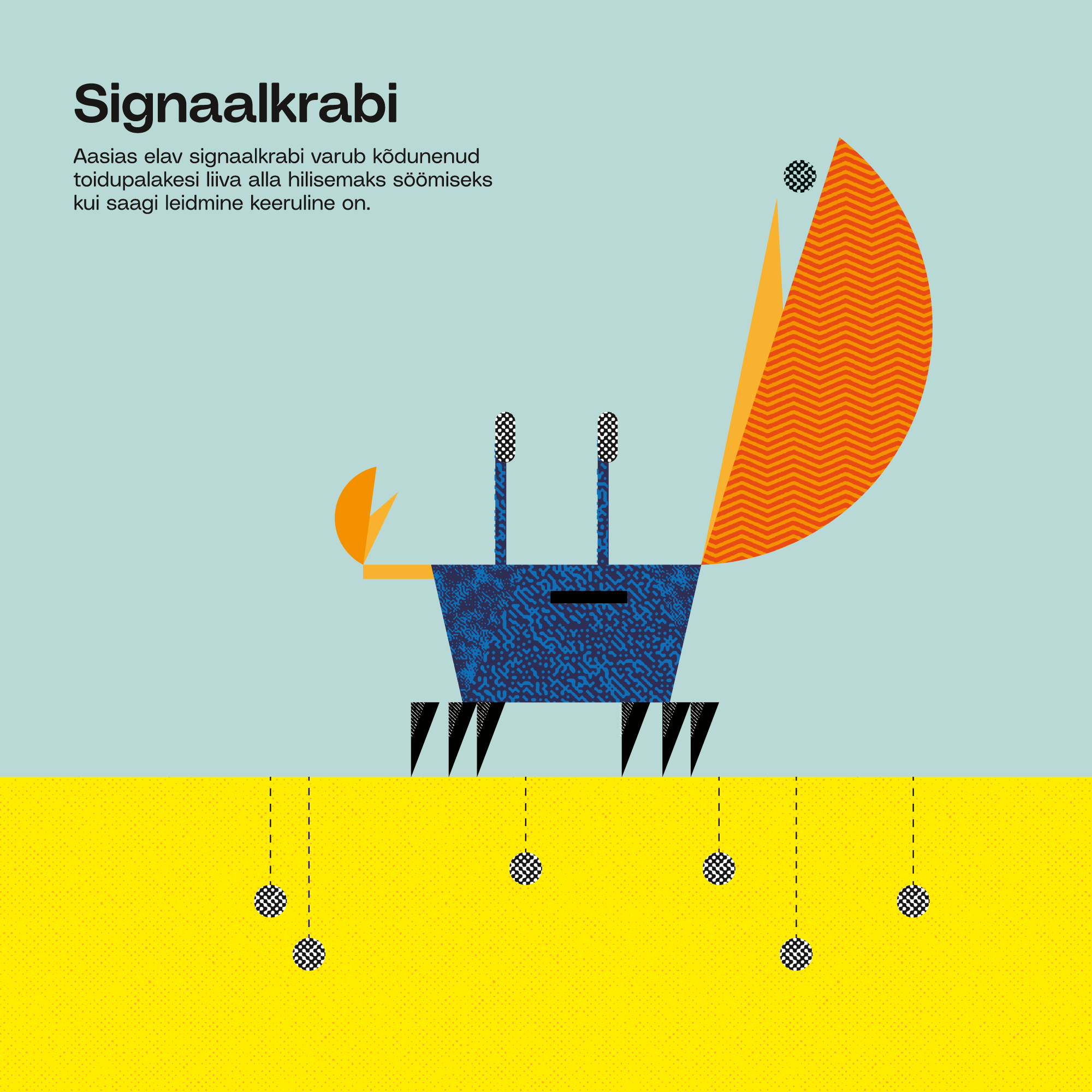 07_EVK_Martin-Eelma_Tuumik_Juuli