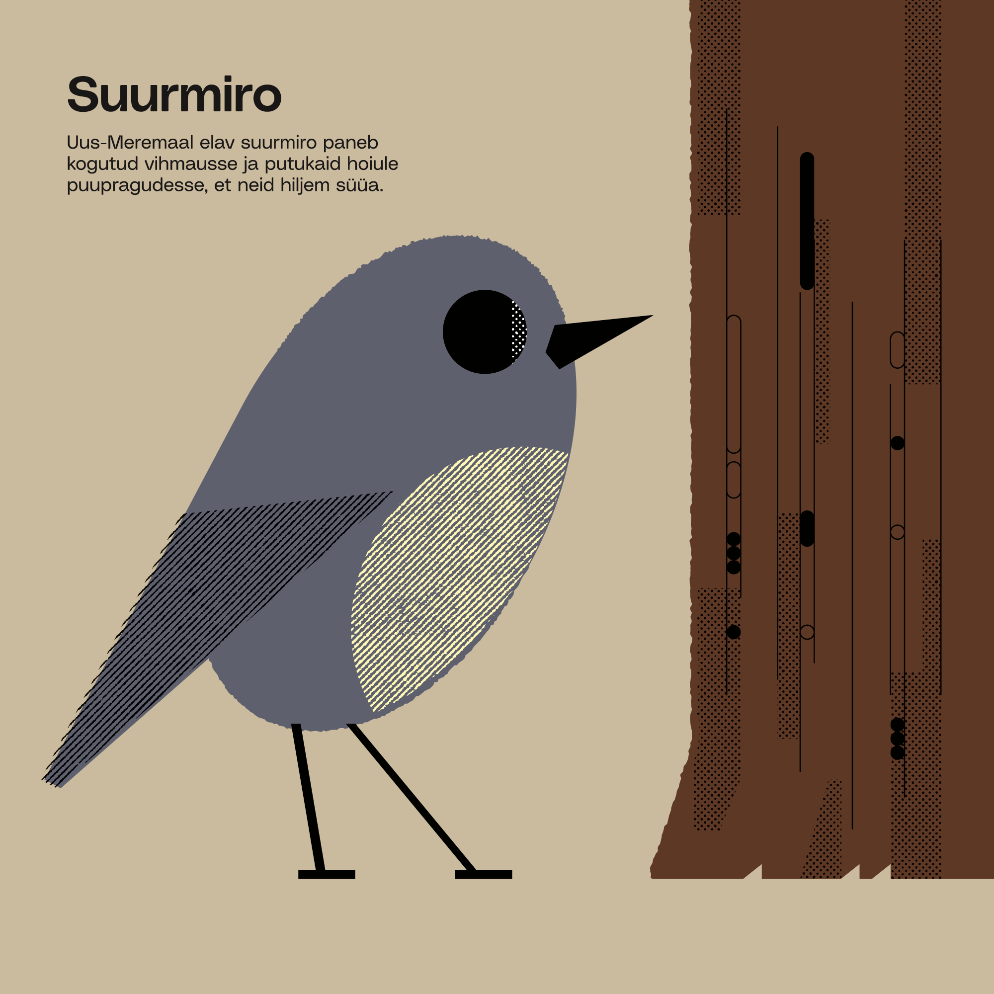 11_EVK_Martin-Eelma_Tuumik_November