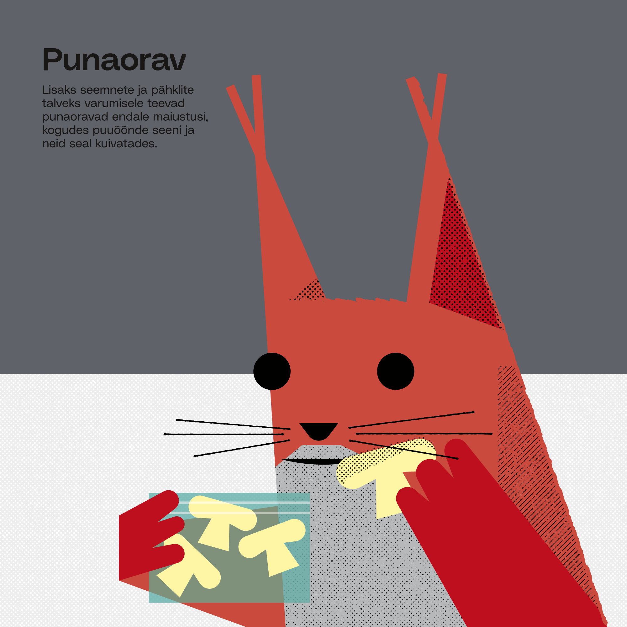 12_EVK_Martin-Eelma_Tuumik_Detsember