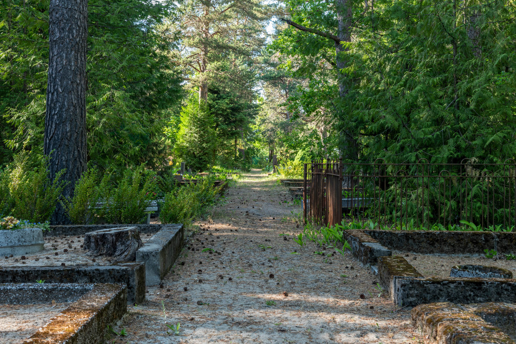 20180613_0156_fotoMarjeEelma