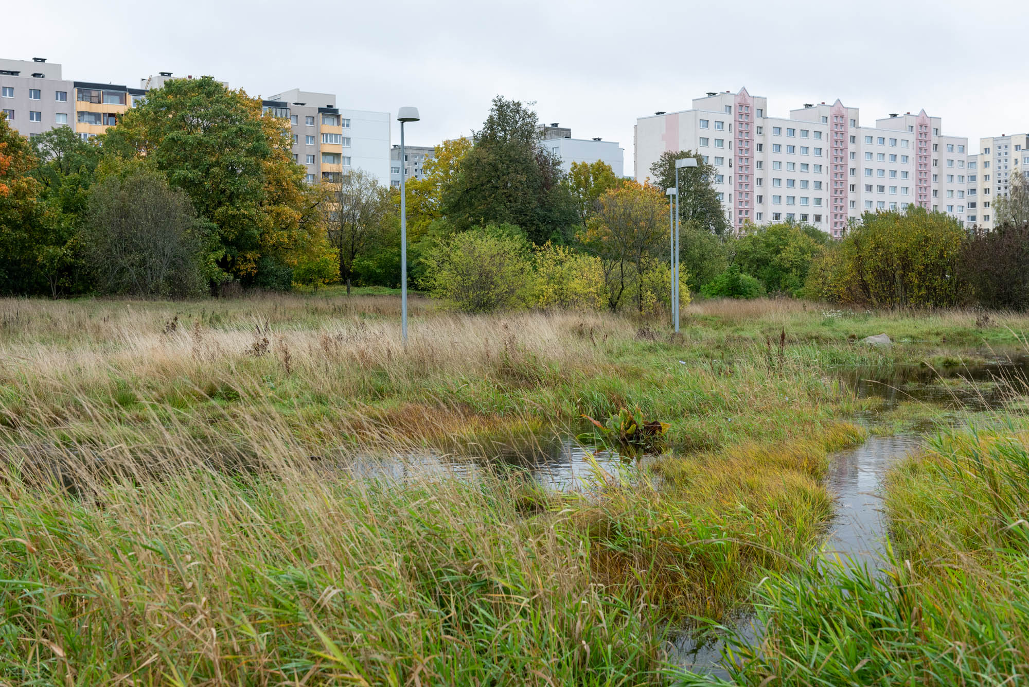 20181009_0105_fotoMarjeEelma
