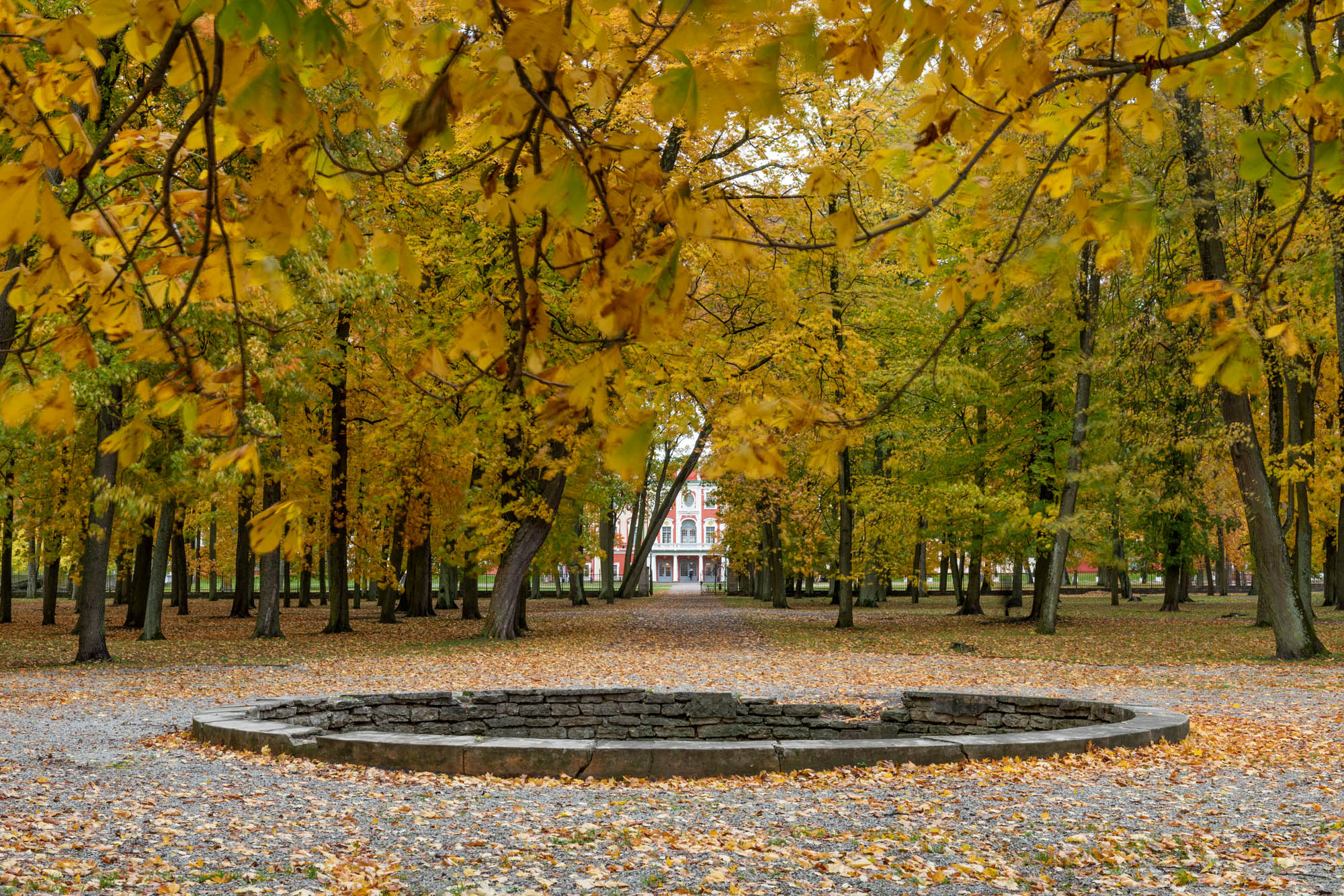 20181009_0170_fotoMarjeEelma