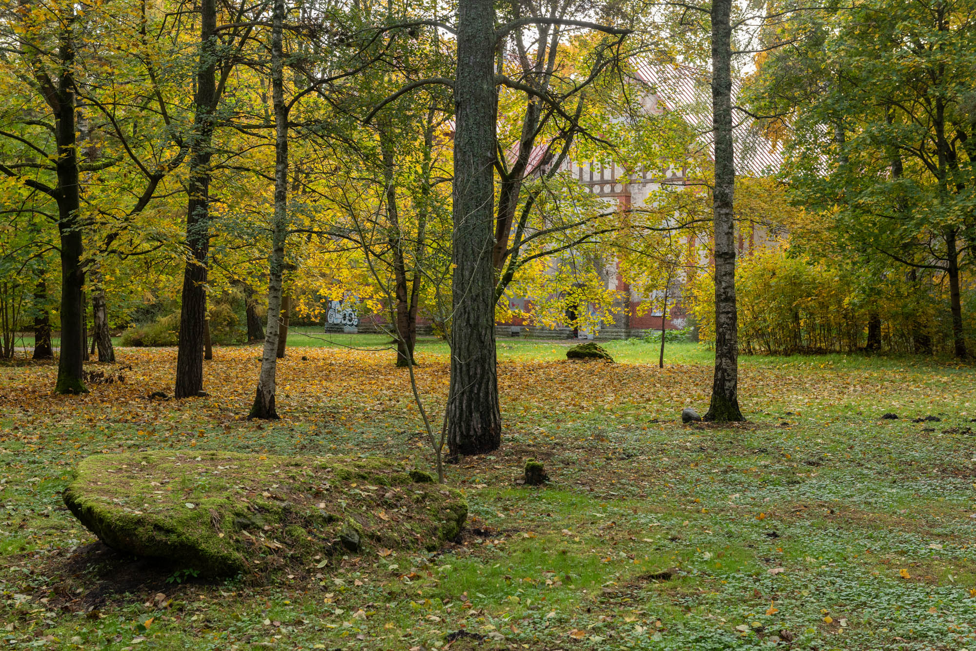 20181010_0076_fotoMarjeEelma