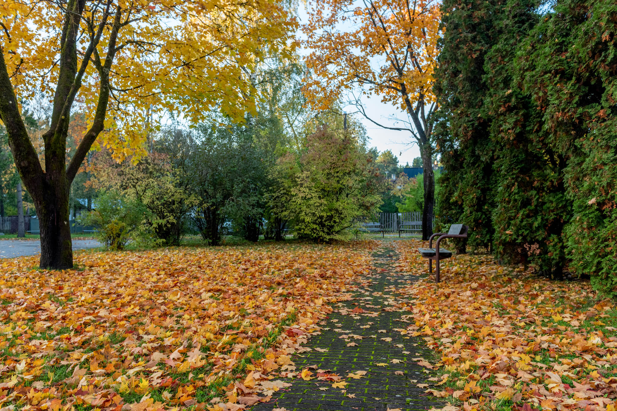 20181010_0149_fotoMarjeEelma