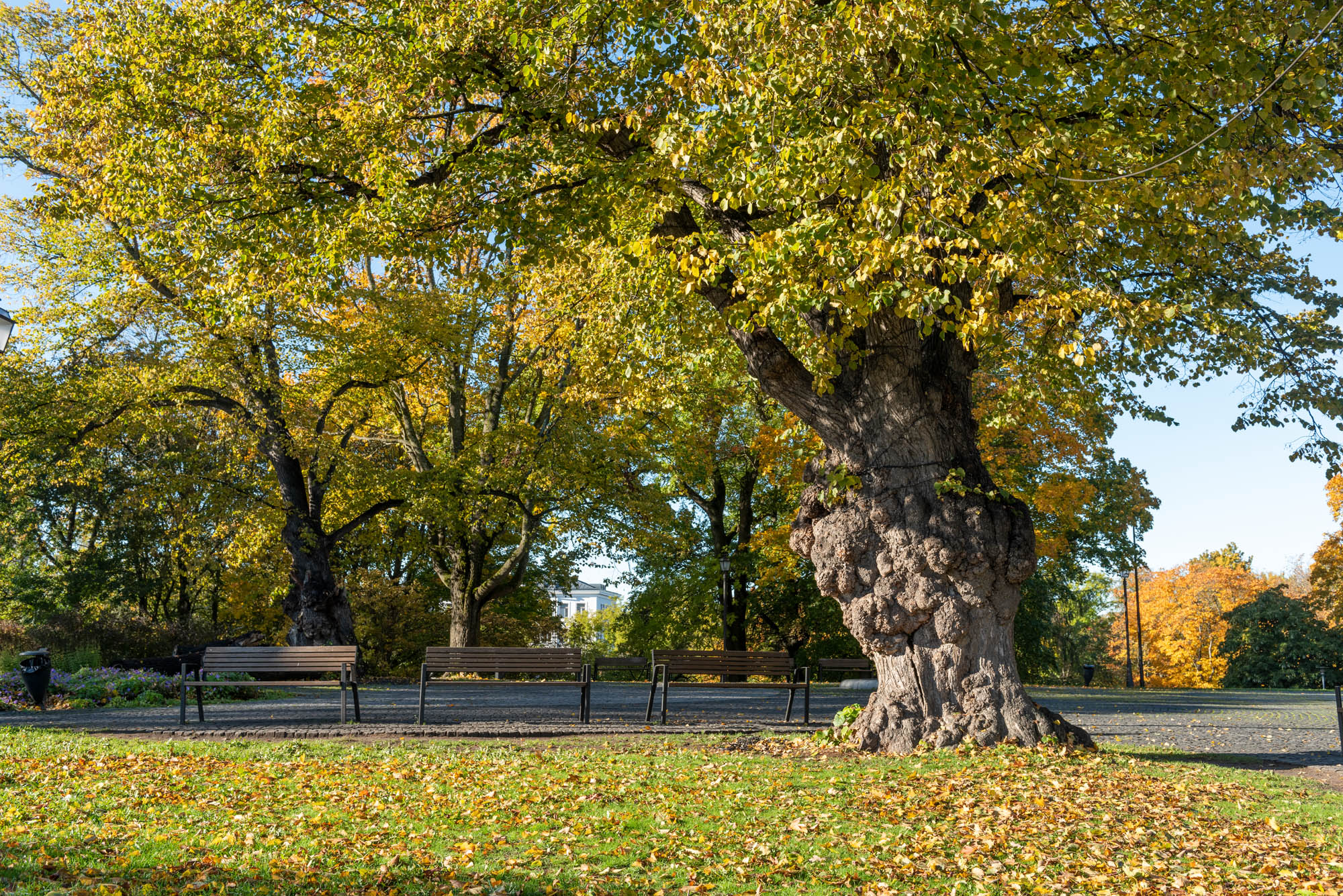 20181011_0099_fotoMarjeEelma