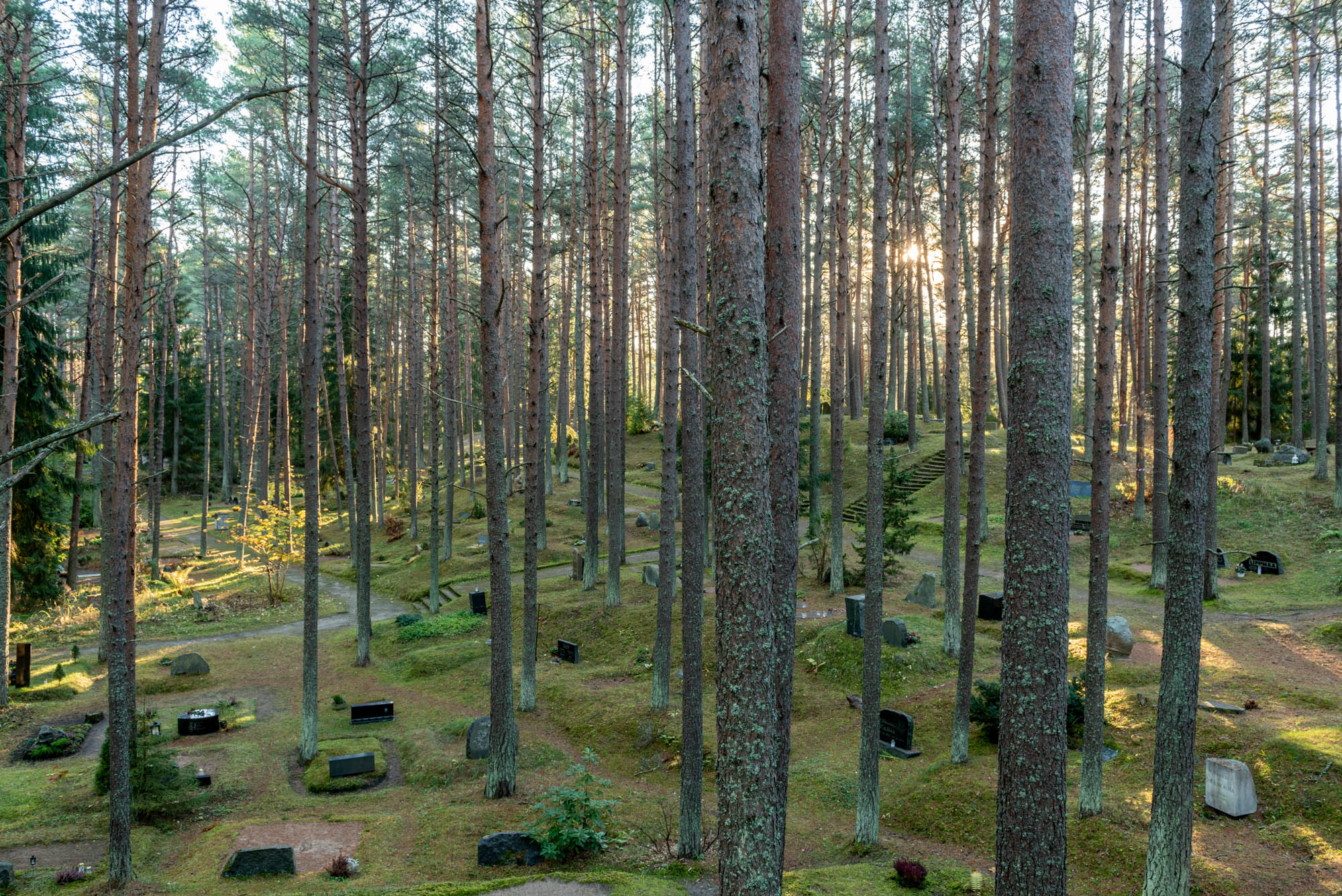 Tallinna kalmistud