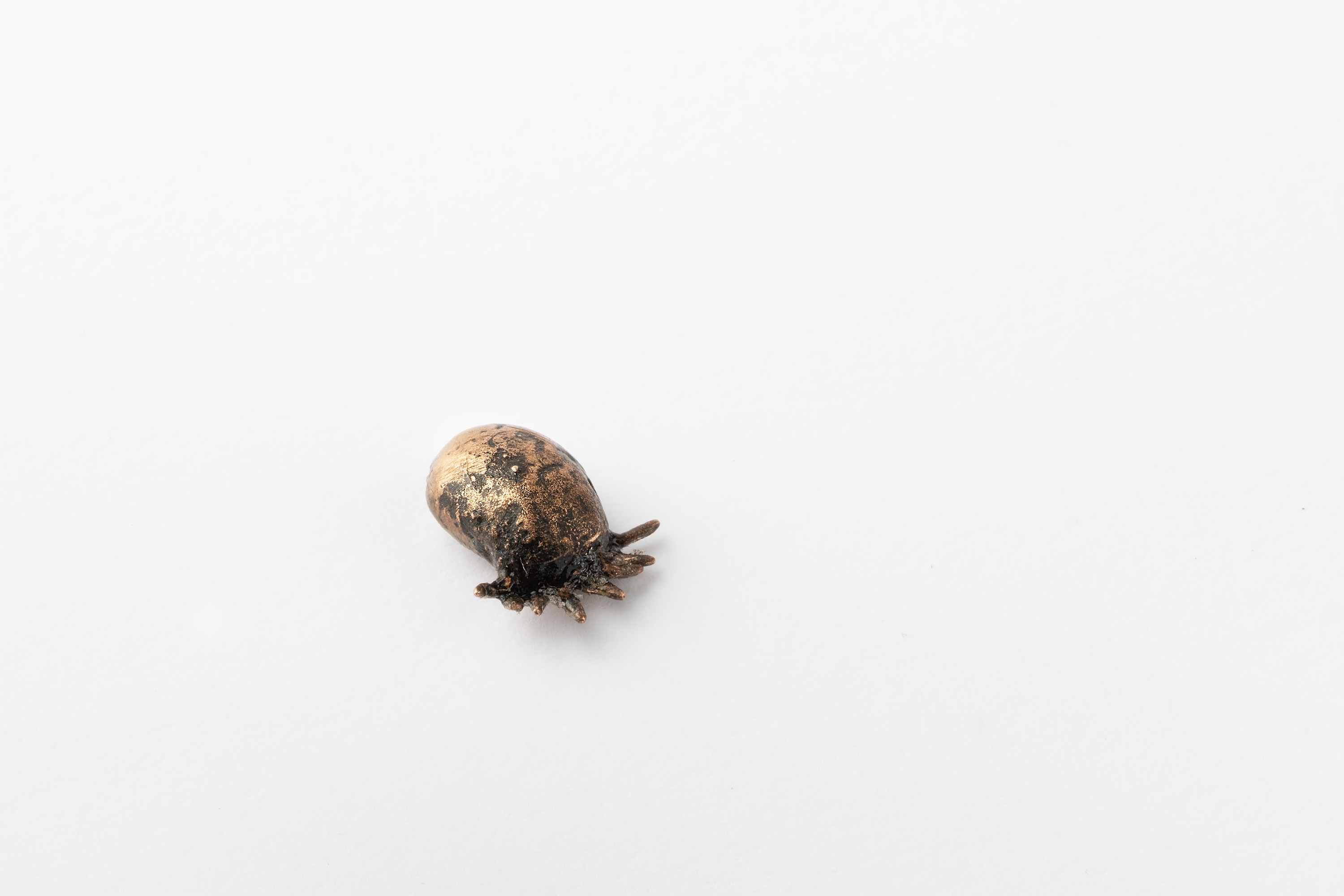 20240603_fotoMarjeEelma_0062-puuk1