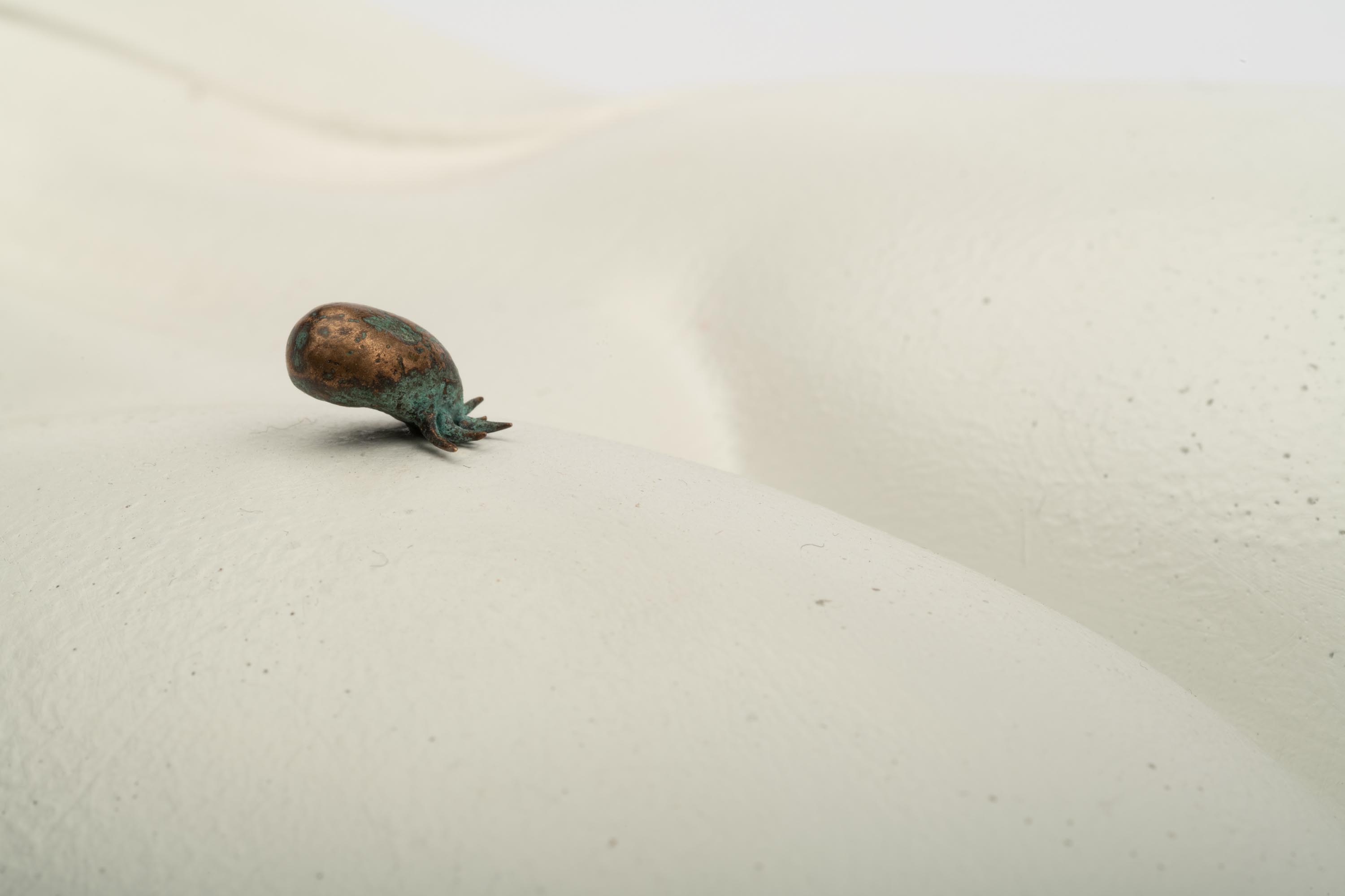 20260330_fotoMarjeEelma_0298